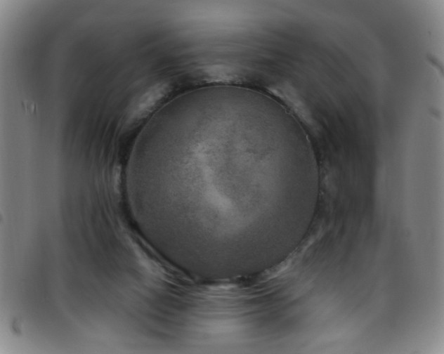 X0000097890066200803141342