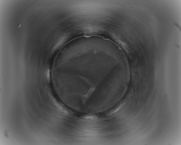 X0000097890067200803141342