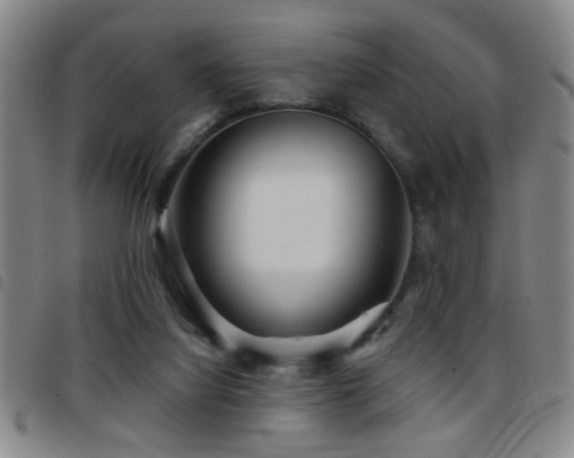 X0000097890068200803141342