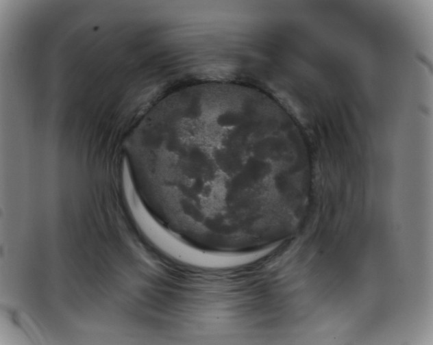 X0000097890069200803141342