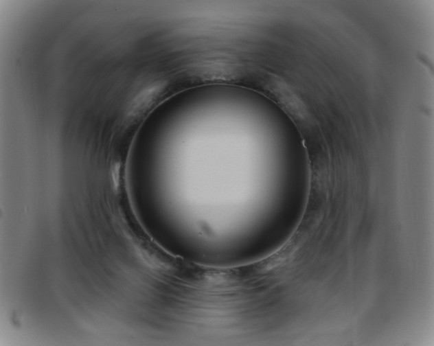 X0000097890070200803141342