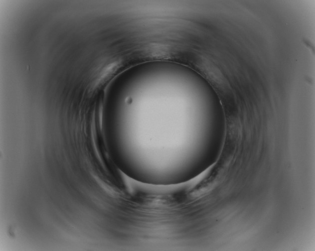 X0000097890072200803141342