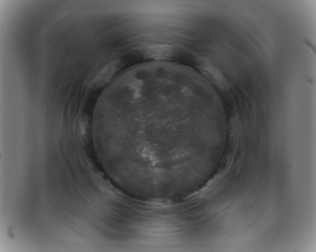 X0000097890073200803141342