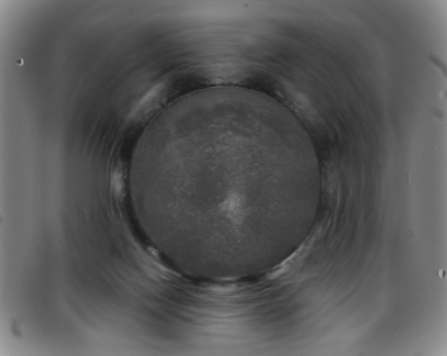 X0000097890074200803141342