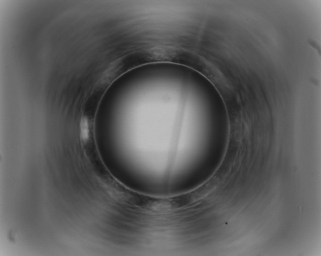 X0000097890075200803141342