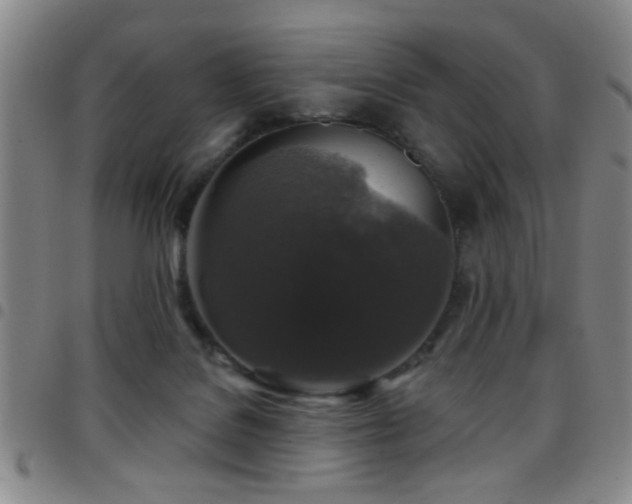X0000097890076200803141342
