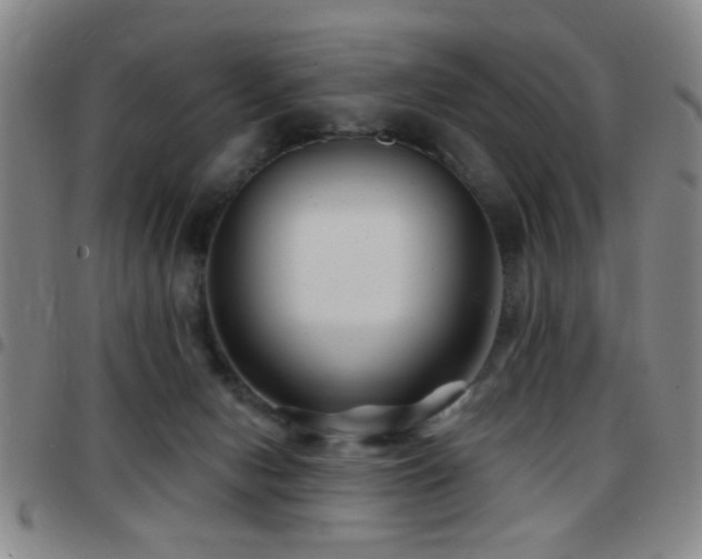 X0000097890078200803141342