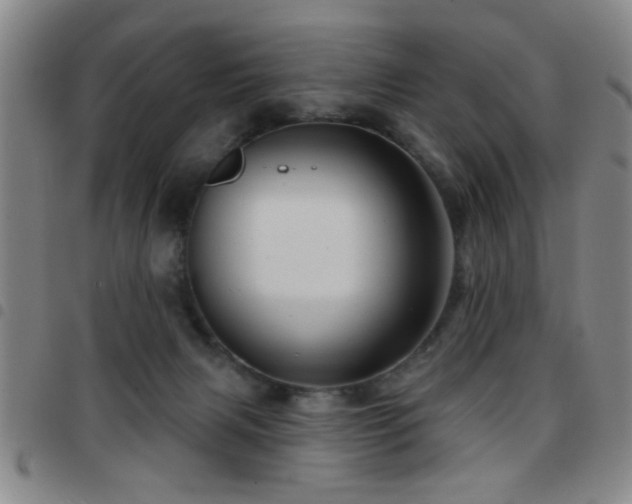 X0000097890079200803141342