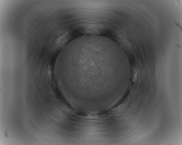 X0000097890080200803141342