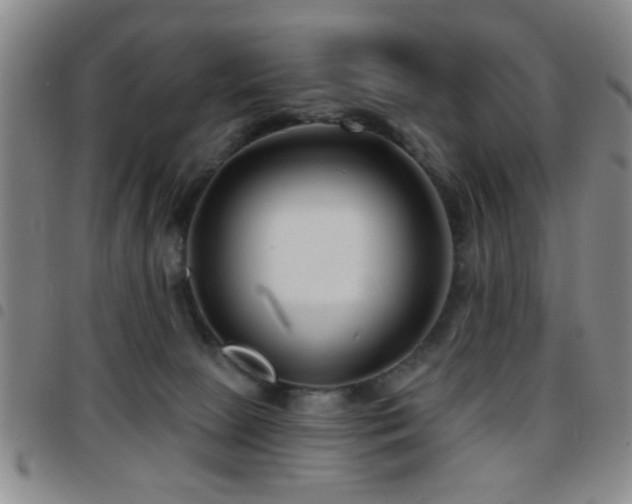X0000097890081200803141342