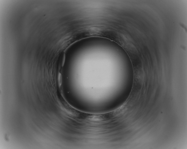 X0000097890082200803141342