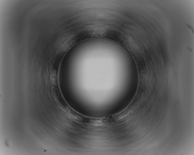 X0000097890083200803141342