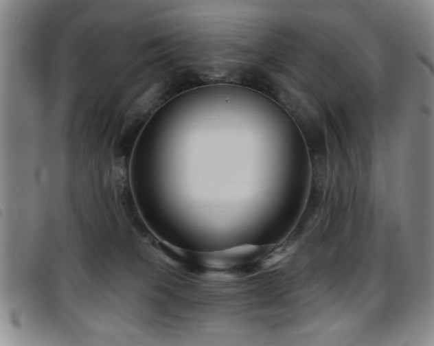 X0000097890085200803141342