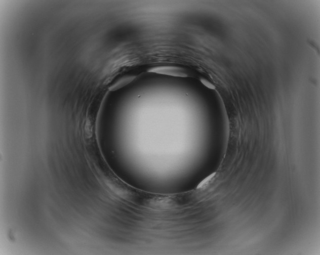 X0000097890086200803141342