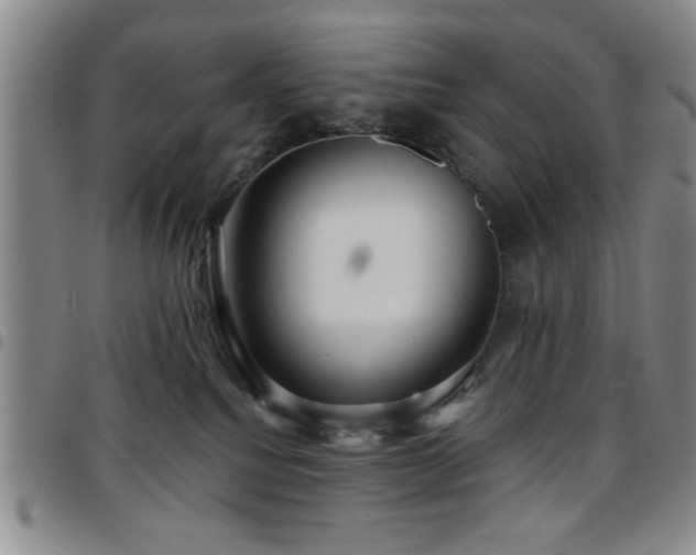 X0000097890088200803141342