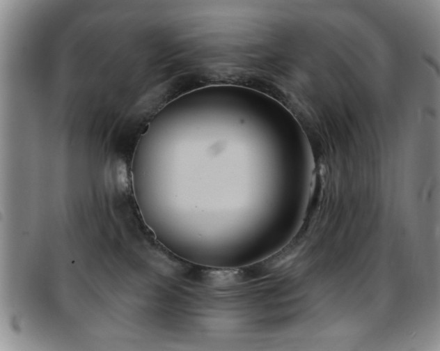 X0000097890089200803141342