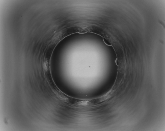 X0000097890090200803141342