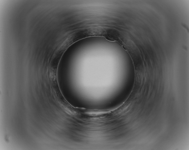 X0000097890091200803141342