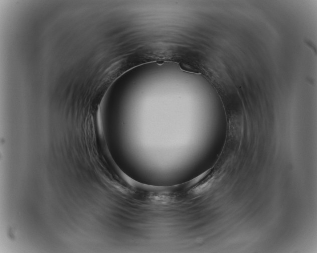 X0000097890092200803141342