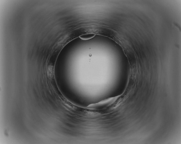 X0000097890093200803141342