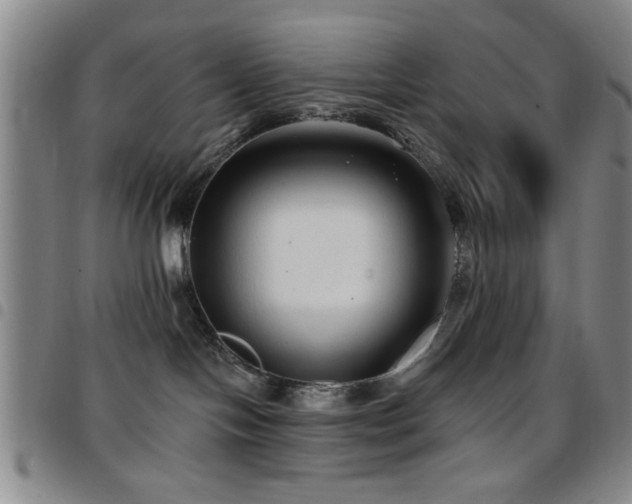 X0000097890094200803141342