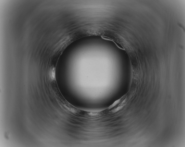 X0000097890095200803141342