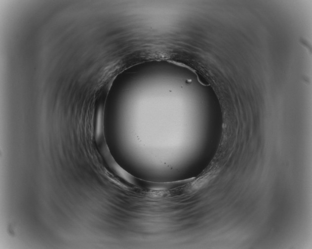 X0000097890096200803141342