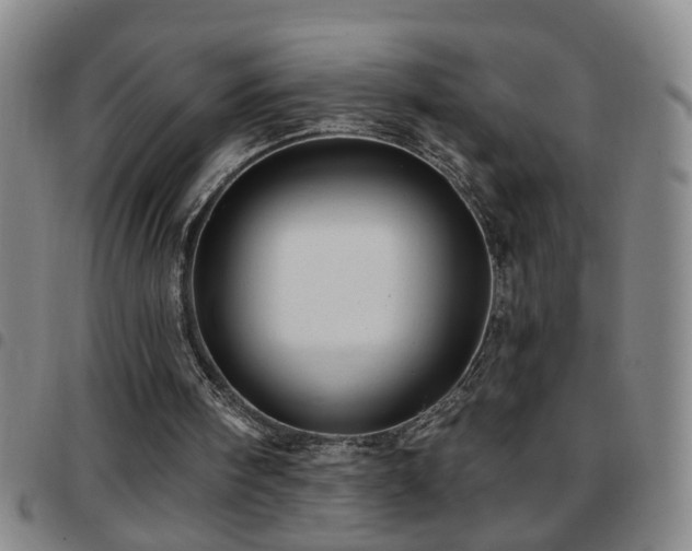 X0000097890098200803141342