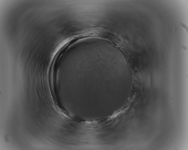 X0000097890100200803141342