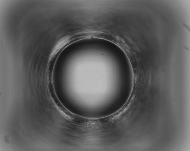 X0000097890101200803141342