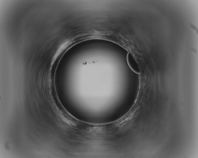 X0000097890102200803141342