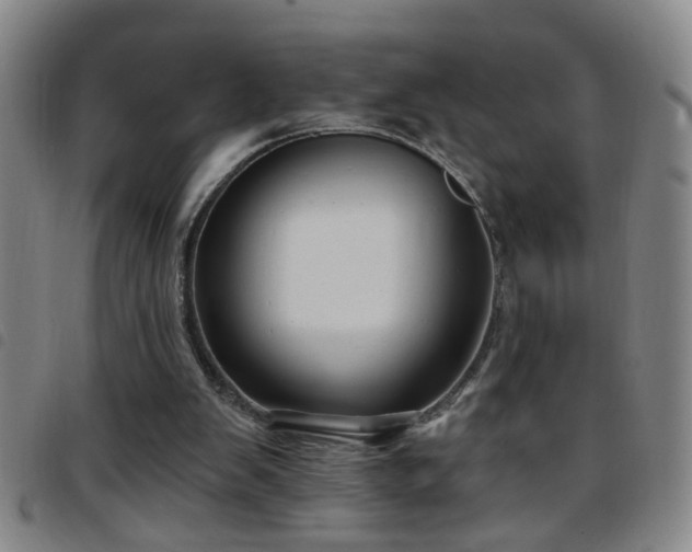 X0000097890103200803141342