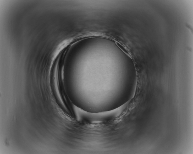 X0000097890104200803141342