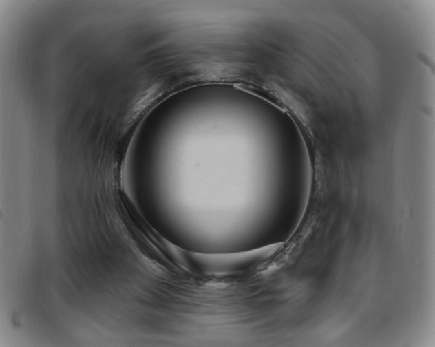 X0000097890105200803141342