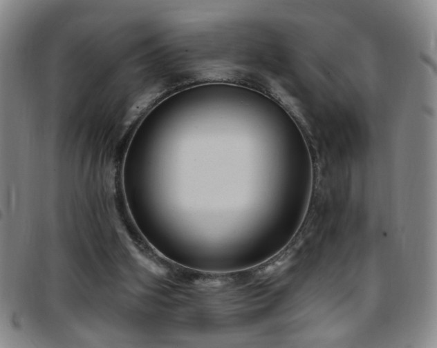 X0000097890106200803141342