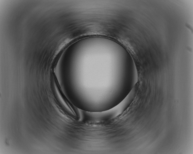 X0000097890108200803141341