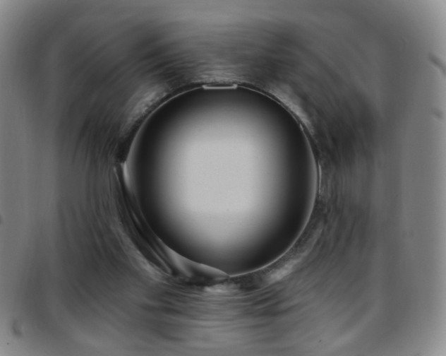 X0000097890109200803141341
