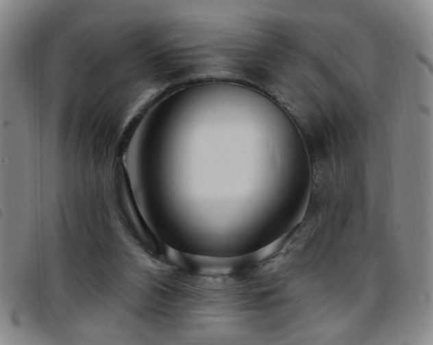 X0000097890112200803141341