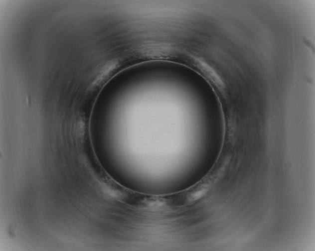 X0000097890113200803141341
