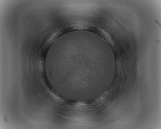 X0000097890114200803141341
