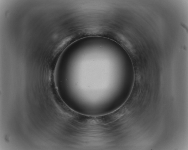 X0000097890115200803141341