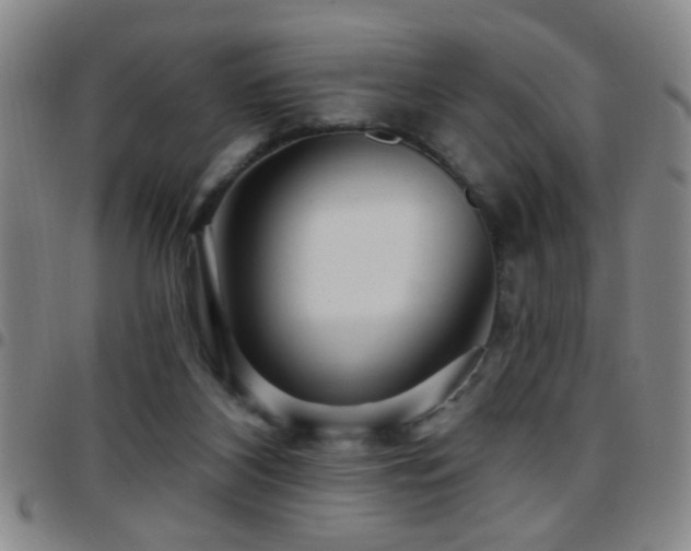 X0000097890116200803141341