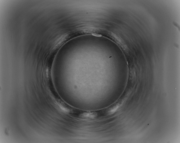 X0000097890117200803141341