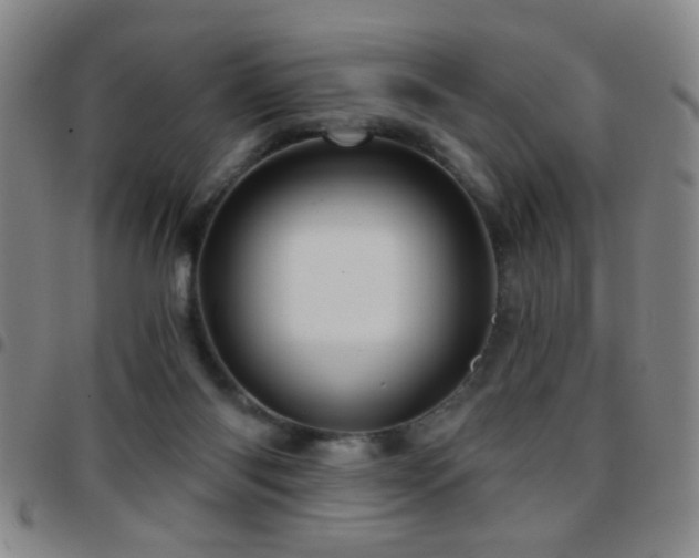 X0000097890118200803141341