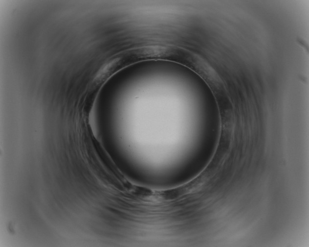 X0000097890119200803141341