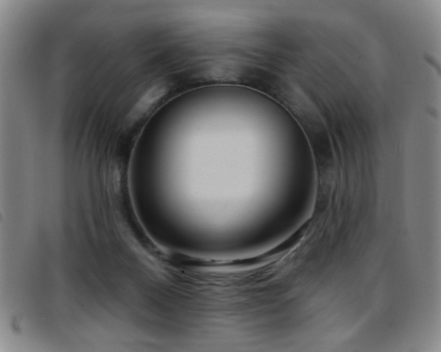 X0000097890120200803141341