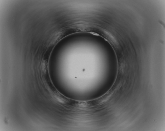 X0000097890121200803141341