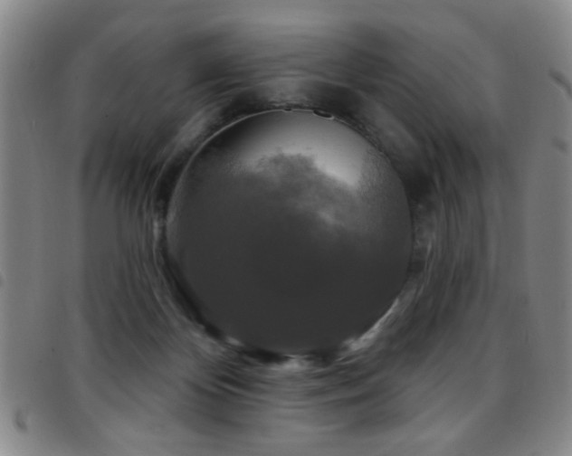 X0000097890124200803141341