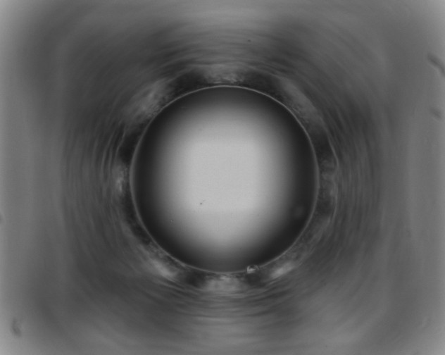 X0000097890125200803141341