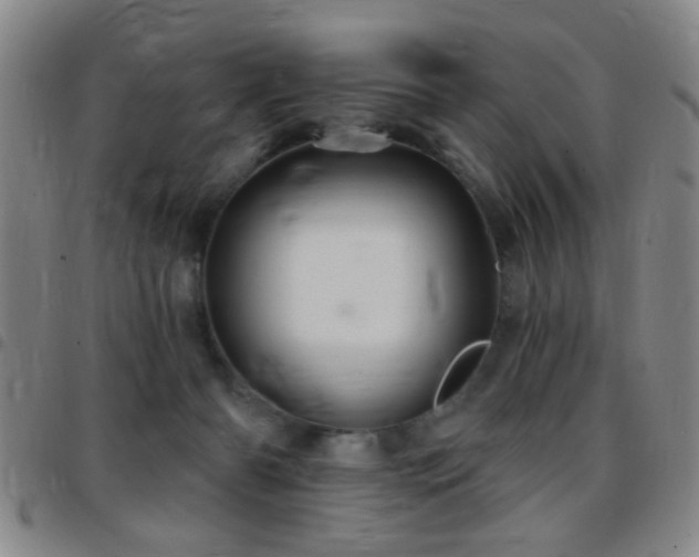 X0000097890126200803141341
